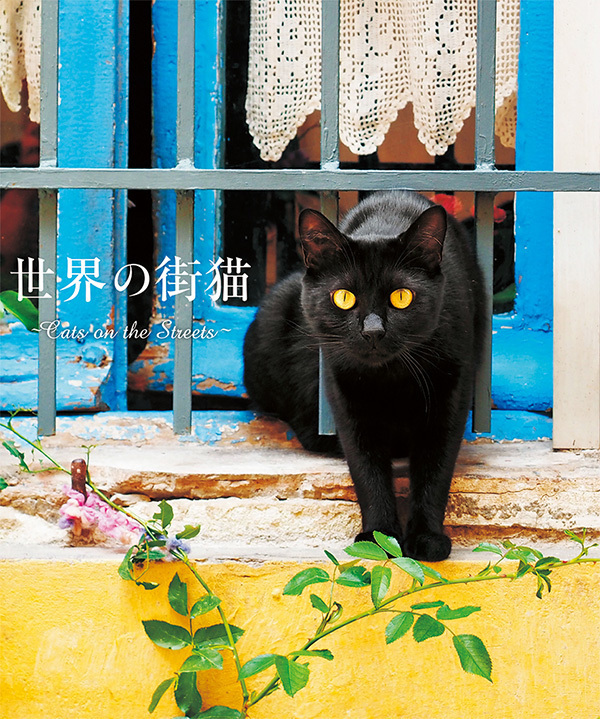 写真集『世界の街猫』美しい街の風景＆そこで暮らす猫たちを特集｜写真11