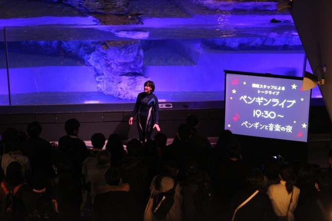 すみだ水族館“ペンギンカップル”の恋模様を楽しめるイベント「恋する水族館。」開催｜写真4