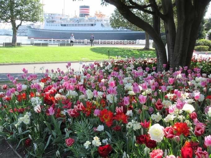 「ガーデンネックレス横浜 2018」開催、みなとみらいや山下公園が春の花々で彩られる｜写真2