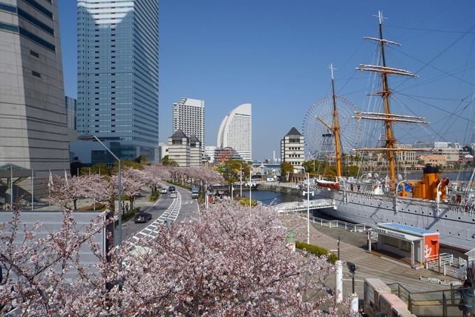 「ガーデンネックレス横浜 2018」開催、みなとみらいや山下公園が春の花々で彩られる｜写真1