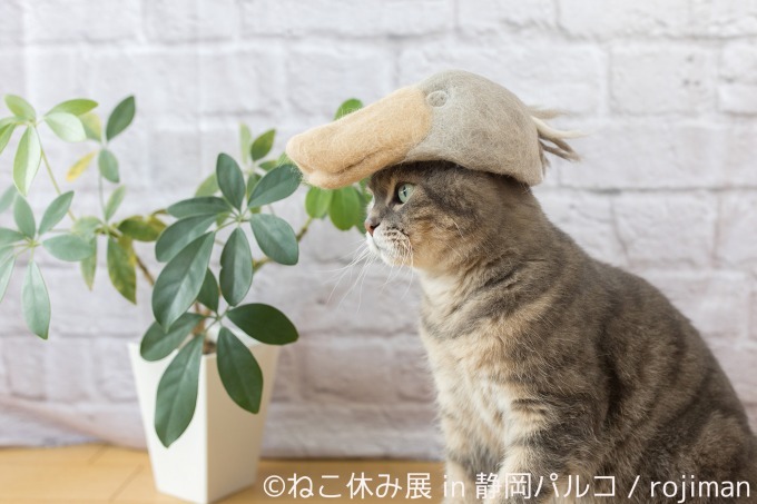 「ねこ休み展 in 静岡パルコ」開催、巨大"猫"絵馬や彫刻スター猫など人気企画が目白押し｜写真32