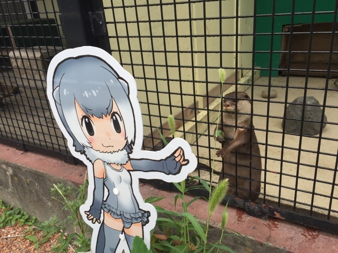 けものフレンズ×東武動物公園、キャラクターパネル展示や山下まみら声優による園内放送も｜写真2