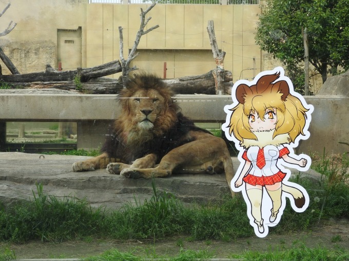 けものフレンズ×東武動物公園、キャラクターパネル展示や山下まみら声優による園内放送も｜写真1