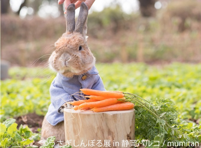 「うさぎしんぼる展」静岡パルコに巡回、うさぎの写真やグッズ集結&『ピーターラビット』コラボブースも｜写真1