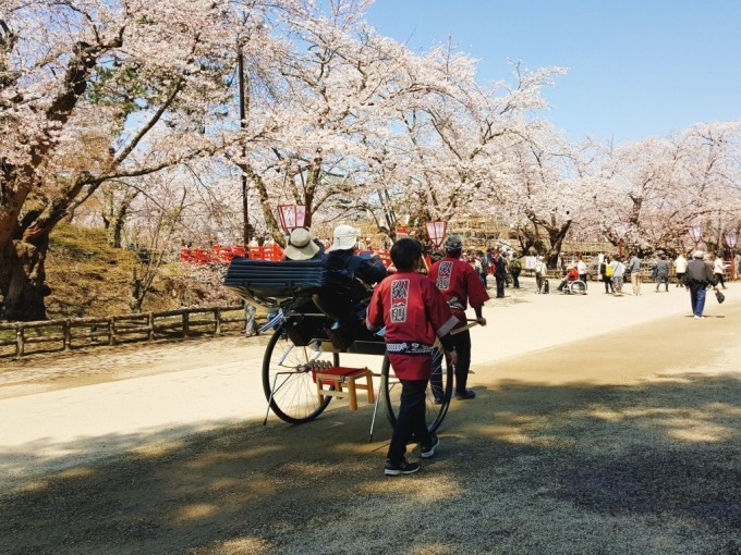 「弘前さくらまつり」青森・弘前公園で開催 - 100周年記念のパレードや打ち上げ花火も｜写真5