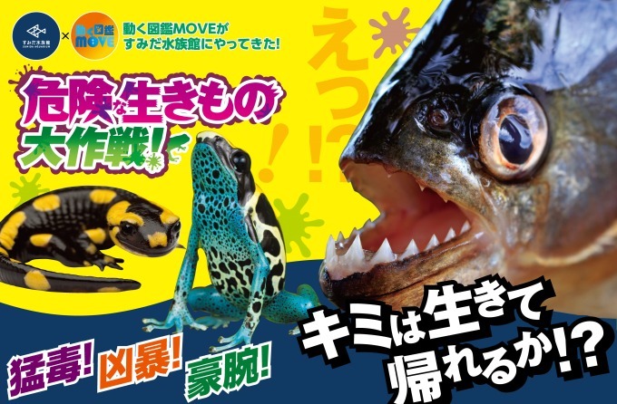 すみだ水族館「危険な生きもの大作戦！」、強力な毒を持つヤドクガエルなど全8種類を展示｜写真1