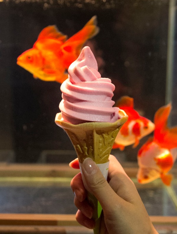 すみだ水族館「東京金魚ワンダーランド2018」日本最大の金魚展示エリアに約1,000匹が舞い泳ぐ｜写真6