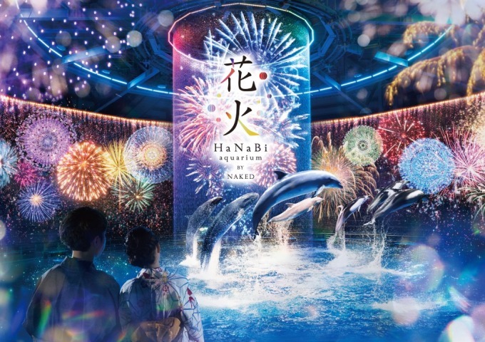 「花火アクアリウム バイ ネイキッド」水族館アクアパーク品川で、花火が彩る夜のイルカショー｜写真5