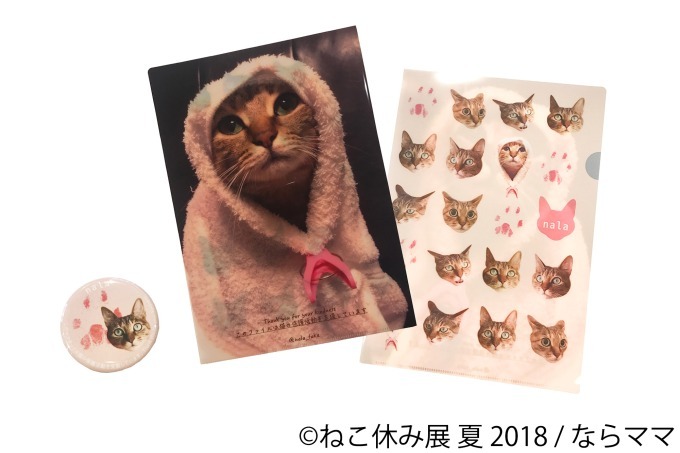 写真物販展「ねこ休み展」夏の本祭が東京・浅草橋で - 過去最大規模、新作展示のほか限定グッズも｜写真38