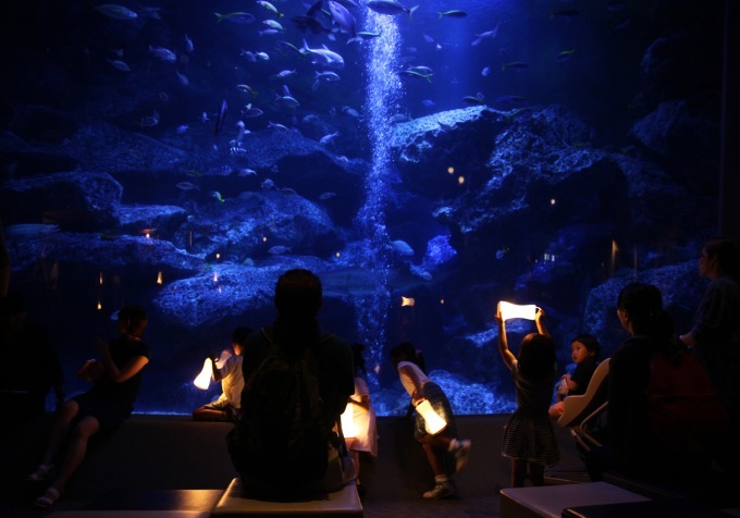 すみだ水族館×東武動物公園「なつとほたるとすいぞくかん」ホタルの光が灯る夜の水族館、ランタン貸出も｜写真2