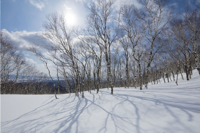 コッペパン専門店「豪雪堂」練馬にオープン、粉砂糖をかけた"豪雪コッペ"や北海道・北見ハッカショコラ｜写真4