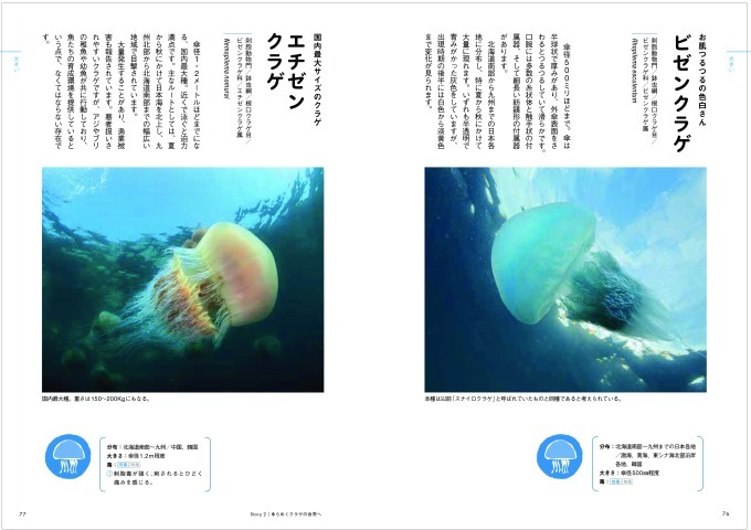 書籍『ときめくクラゲ図鑑』幻想的な写真とともに“謎多き”クラゲに迫る｜写真2