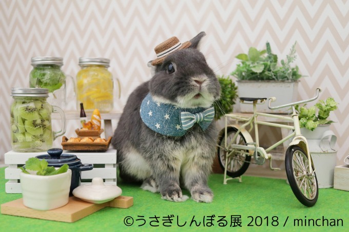 「うさぎしんぼる展 2018」東京＆名古屋で、うさぎの写真＆グッズ計1,000点以上を展示販売｜写真4