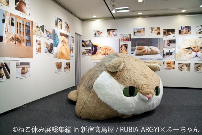 「ねこ休み展 総集編 in 新宿高島屋」懐かしの名作写真が集結、超巨⼤ぬいぐるみも｜写真22