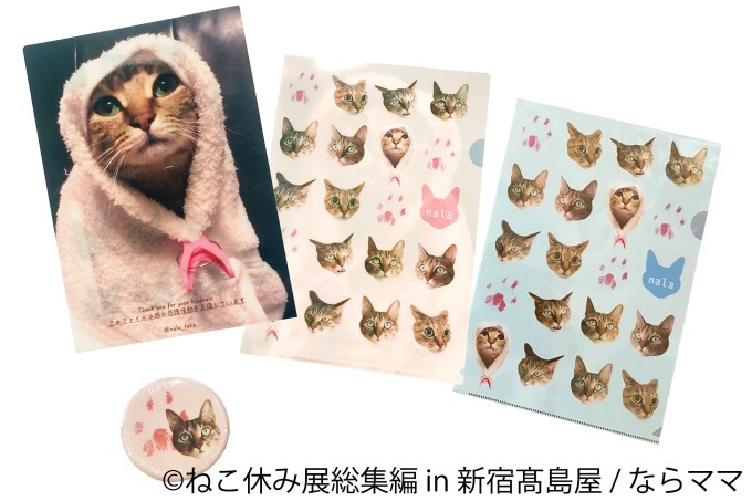 「ねこ休み展 総集編 in 新宿高島屋」懐かしの名作写真が集結、超巨⼤ぬいぐるみも｜写真54