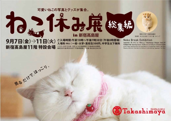 「ねこ休み展 総集編 in 新宿高島屋」懐かしの名作写真が集結、超巨⼤ぬいぐるみも｜写真83