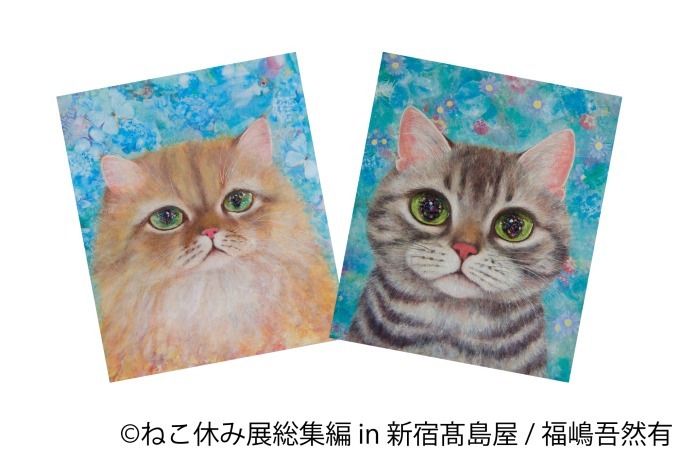 「ねこ休み展 総集編 in 新宿高島屋」懐かしの名作写真が集結、超巨⼤ぬいぐるみも｜写真77