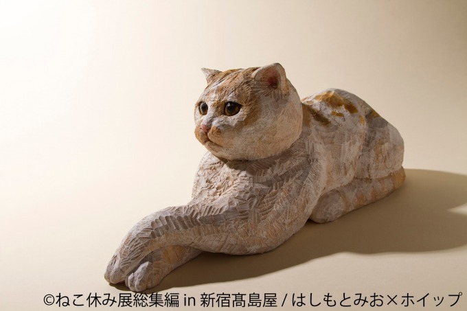 「ねこ休み展 総集編 in 新宿高島屋」懐かしの名作写真が集結、超巨⼤ぬいぐるみも｜写真21