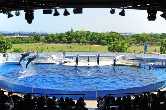 水族館イベント情報【近畿・四国・中国・九州・沖縄編】人気旅行スポット、海遊館や沖縄美ら海水族館など｜写真1