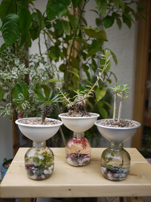 千駄ヶ谷2【Ni】で、ハンドメイドの素敵な植物を展示販売、夏季の夜営業もスタート｜写真2