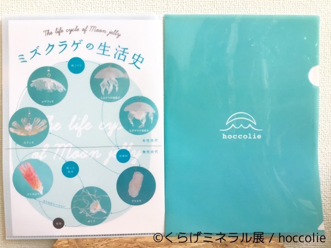 "くらげと鉱石"がテーマの写真＆物販展「くらげミネラル展」東京・名古屋で、癒し動画も｜写真14