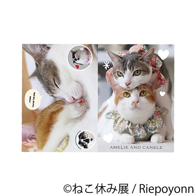 写真展＆物販展「ねこ休み展 in 浦和」浦和パルコで、巨大絵馬展示や新作カレンダー販売も｜写真28