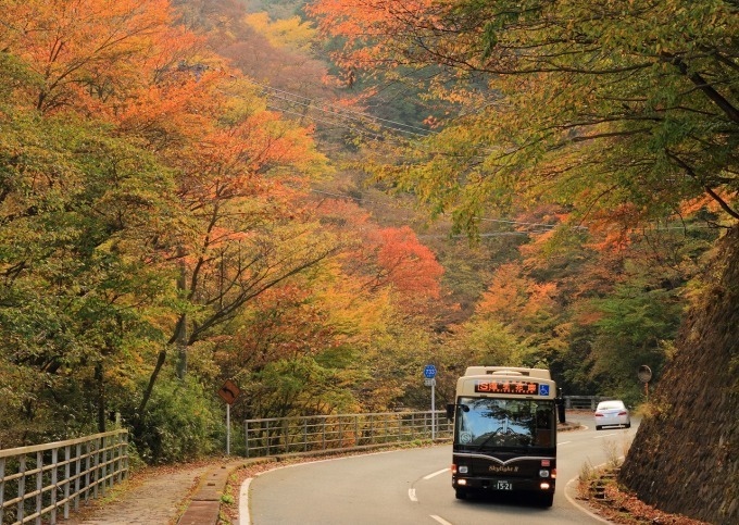 【箱根観光】2018紅葉スポット紹介 - 箱根で一番と言われる名所・箱根美術館など｜写真5