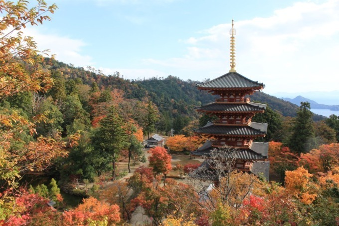 【京都観光】秋の紅葉特集 - 保津川下りや穴場スポット、夜間ライトアップも｜写真2