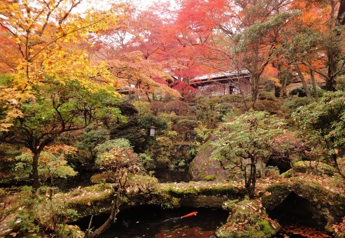 箱根に「和カフェ 強羅環翠楼」が秋限定でオープン - 紅葉の名所で味わう和菓子や抹茶のセット｜写真1