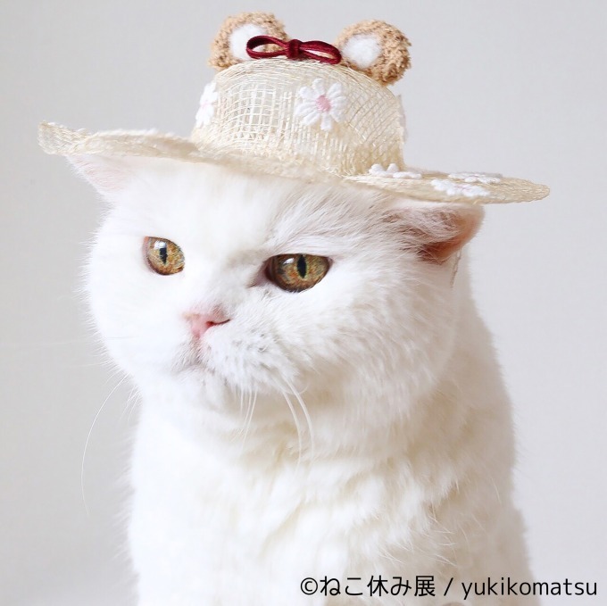 「ねこ休み展 in 横浜みなとみらい」クリスマスやお正月がテーマの新作写真展示＆グッズ販売｜写真51