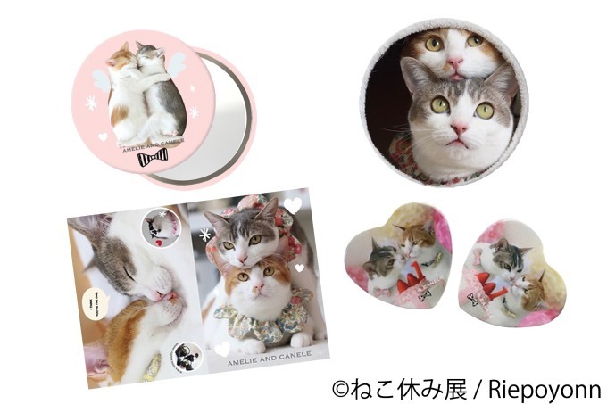 「ねこ休み展 in 横浜みなとみらい」クリスマスやお正月がテーマの新作写真展示＆グッズ販売｜写真38