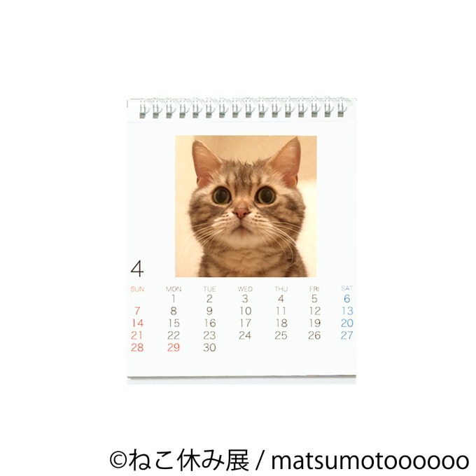 「ねこ休み展 in 横浜みなとみらい」クリスマスやお正月がテーマの新作写真展示＆グッズ販売｜写真37