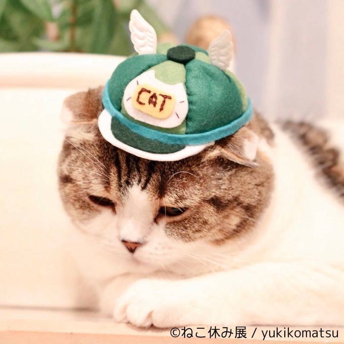 「ねこ休み展 in 横浜みなとみらい」クリスマスやお正月がテーマの新作写真展示＆グッズ販売｜写真53