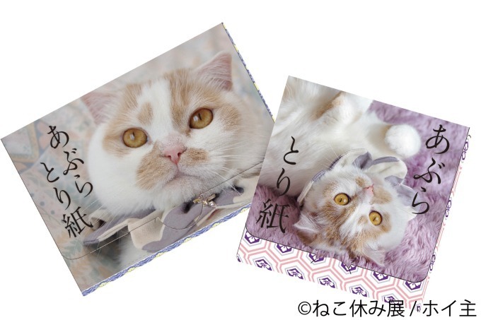 「ねこ休み展 in 横浜みなとみらい」クリスマスやお正月がテーマの新作写真展示＆グッズ販売｜写真61