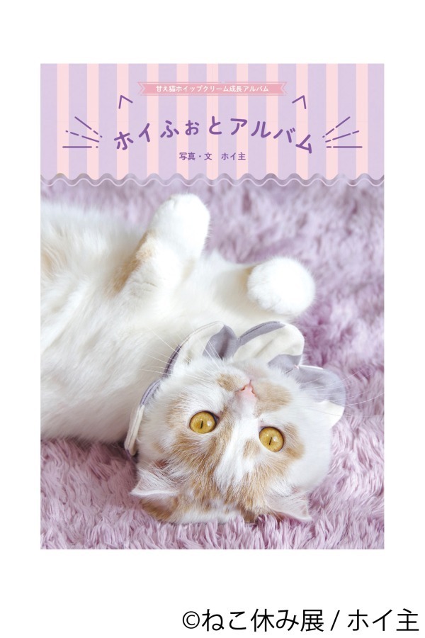 「ねこ休み展 in 横浜みなとみらい」クリスマスやお正月がテーマの新作写真展示＆グッズ販売｜写真59