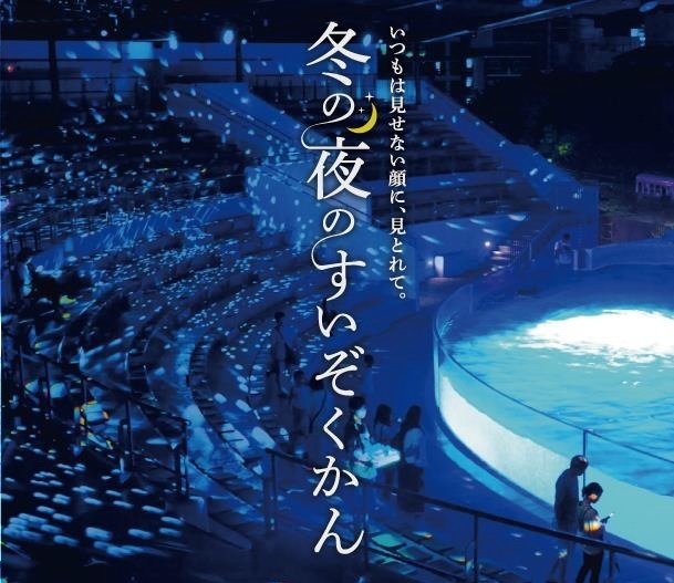 京都水族館、クリスマス限定の夜間イベント - 特別照明で照らした館内で夜のいきものを観察｜写真1