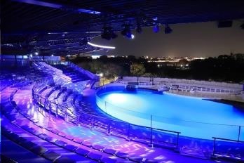 京都水族館、クリスマス限定の夜間イベント - 特別照明で照らした館内で夜のいきものを観察｜写真2