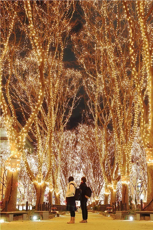 「2018 SENDAI光のページェント」仙台・定禅寺通で - LED約60万球のイルミネーション｜写真5