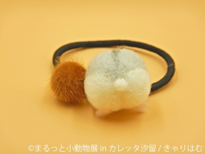 合同写真＆物販展「まるっと小動物展 in カレッタ汐留」ハリネズミやハムスター、ショウガラゴも｜写真21