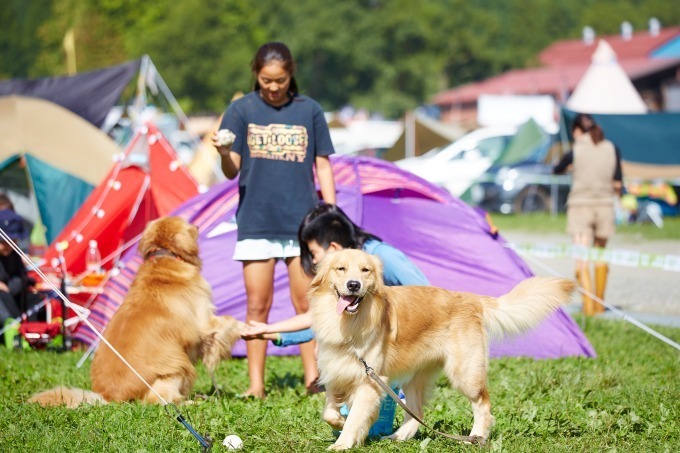 キャンプフェス「GO OUT JAMBOREE」静岡で、アーティストライブ＆野外映画上映会｜写真6