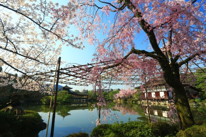 平安神宮