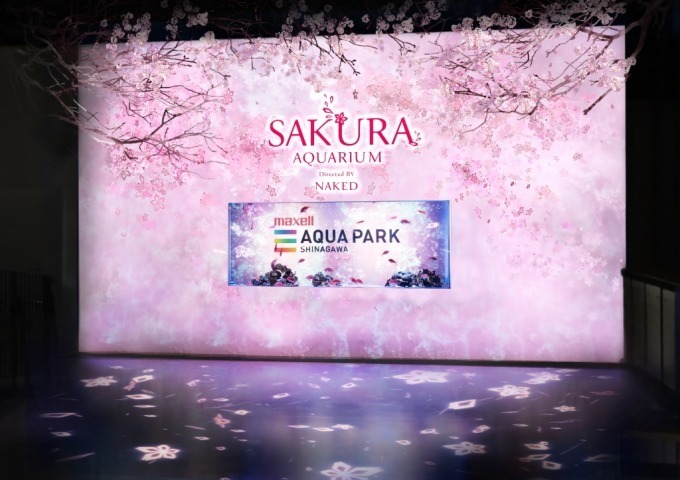 マクセル アクアパーク品川×ネイキッド「サクラアクアリウム」“桜の海”でイルカやペンギンとお花見を｜写真5