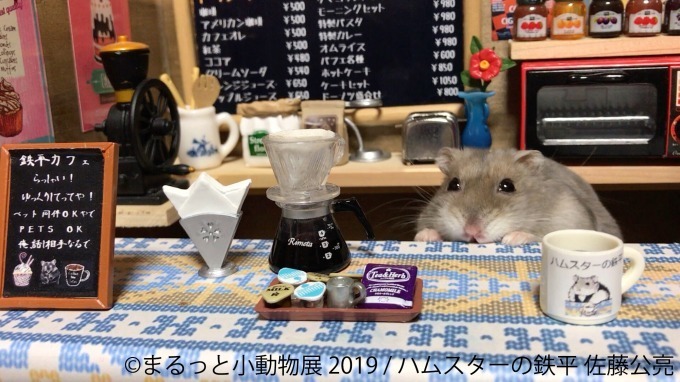 「まるっと小動物展」春の巡回展が静岡・広島・名古屋で - 約250点の作品展示、チンチラが新登場｜写真10