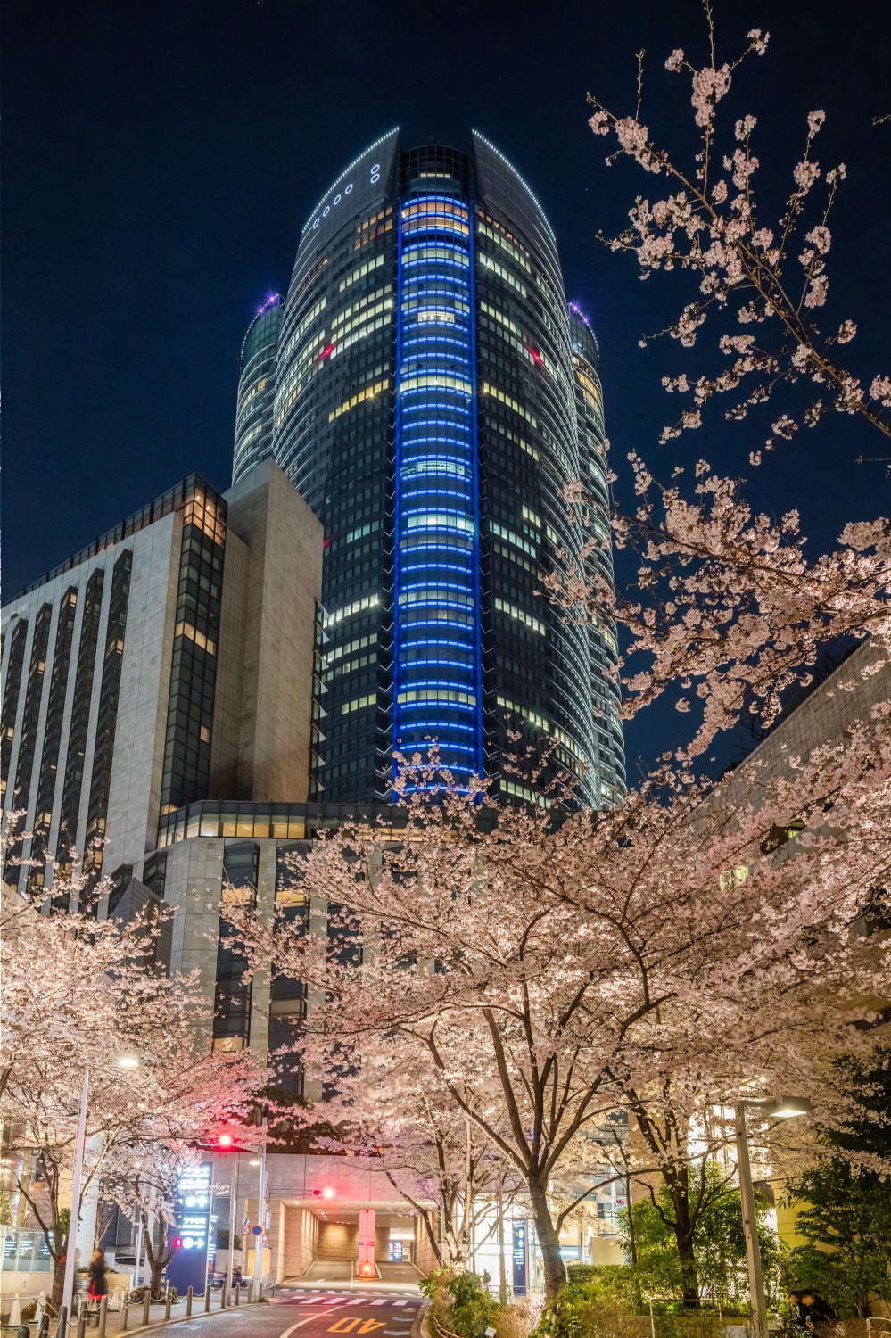 「六本木ヒルズ 春まつり 2019」夜桜ライトアップ＆天空のお花見、グルメ屋台の出店も｜写真3