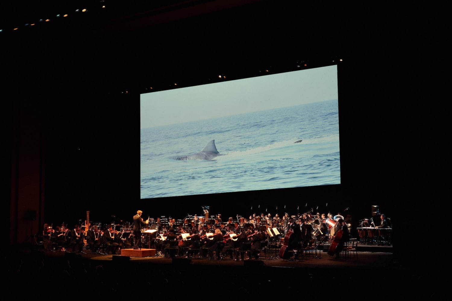 「ジョーズ」in コンサート、パシフィコ横浜で - 映画全編をオーケストラの生演奏で｜写真1