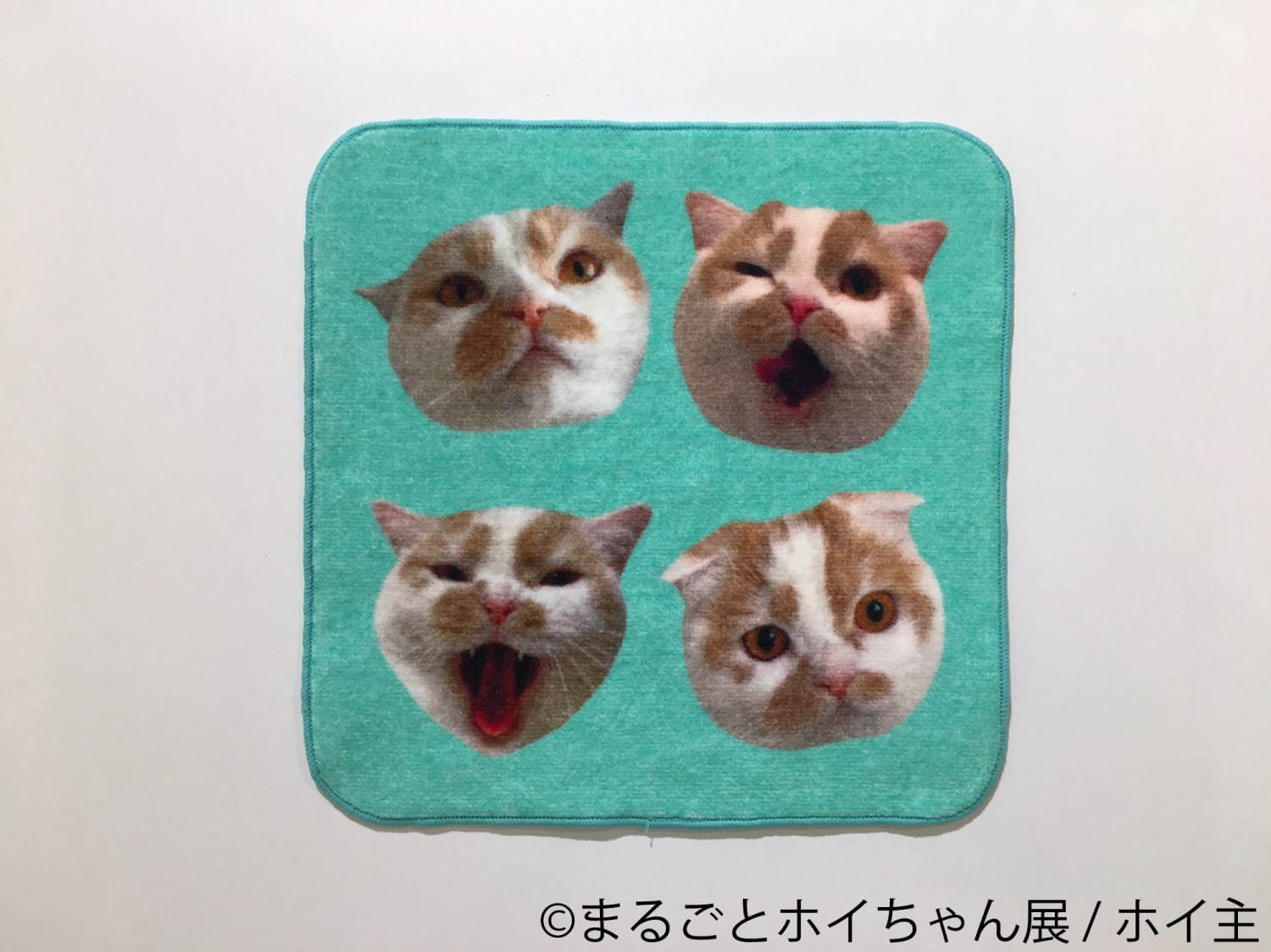 ねこ休み展スピンオフ「まるごとホイちゃん展」カレッタ汐留で、人気猫“ホイちゃん”の写真＆物販展｜写真15