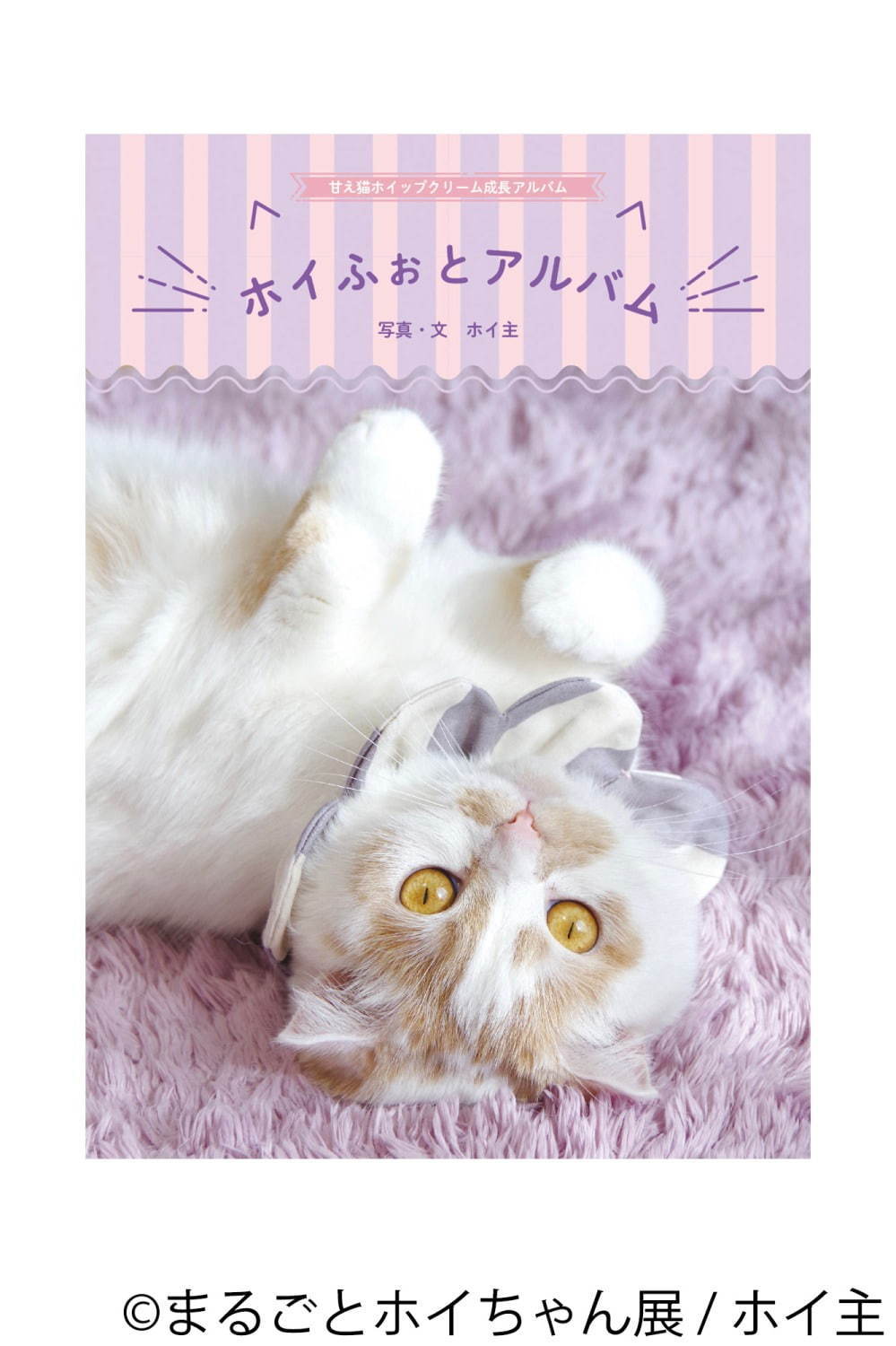 ねこ休み展スピンオフ「まるごとホイちゃん展」カレッタ汐留で、人気猫“ホイちゃん”の写真＆物販展｜写真17