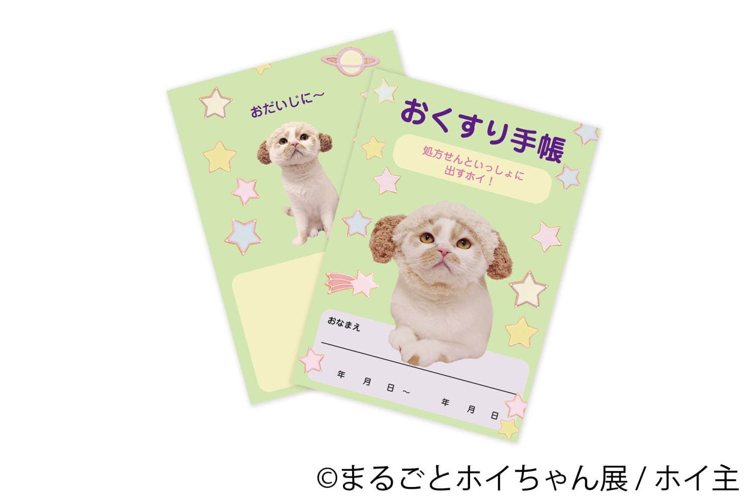 ねこ休み展スピンオフ「まるごとホイちゃん展」カレッタ汐留で、人気猫“ホイちゃん”の写真＆物販展｜写真12