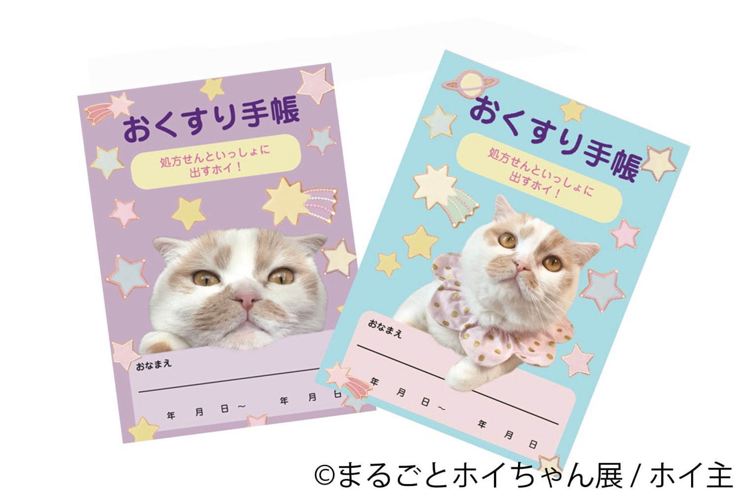 ねこ休み展スピンオフ「まるごとホイちゃん展」カレッタ汐留で、人気猫“ホイちゃん”の写真＆物販展｜写真11