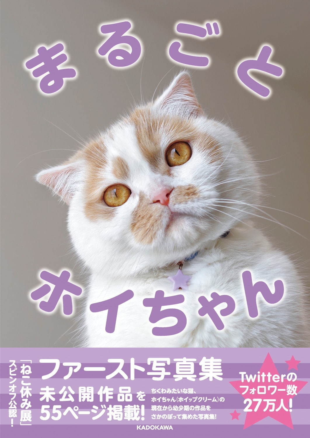 ねこ休み展スピンオフ「まるごとホイちゃん展」カレッタ汐留で、人気猫“ホイちゃん”の写真＆物販展｜写真28